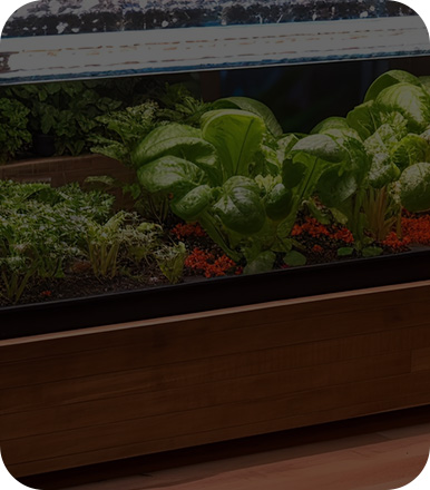 LED植物灯照明电源